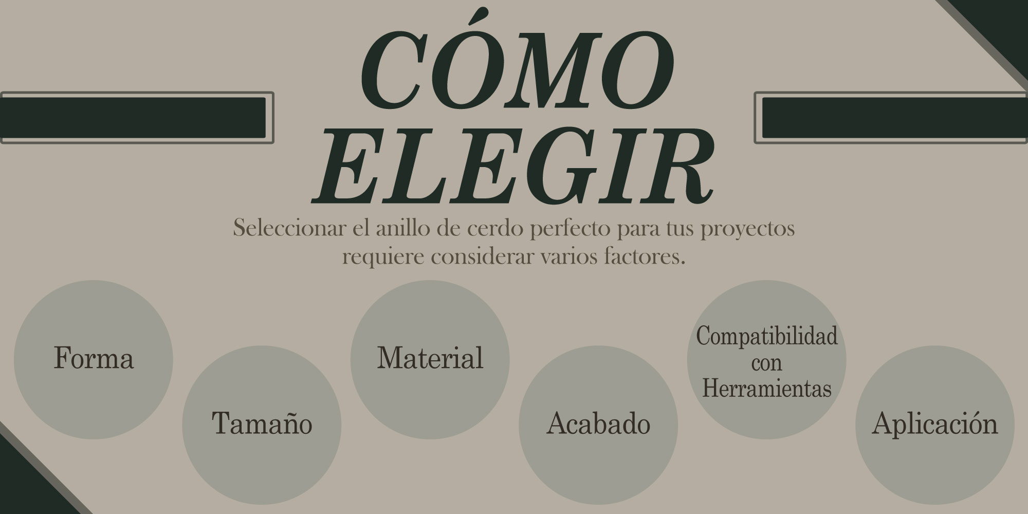 consideraciones-para-elegir-anillos-de-cerdo