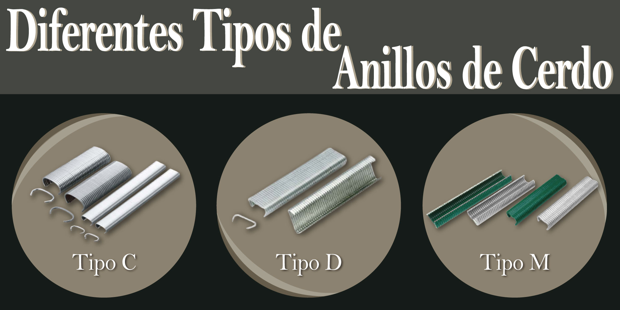 diferentes-tipos-de-anillos-de-cerdo