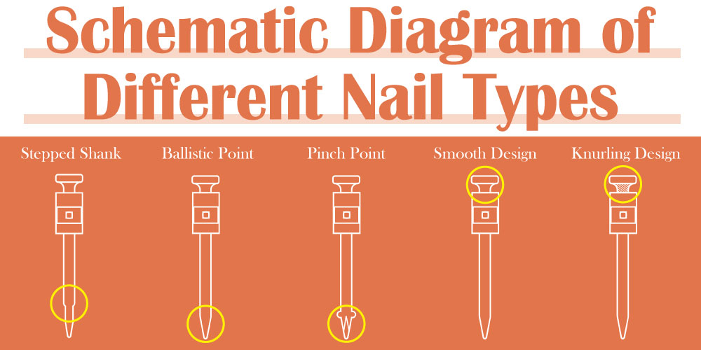 schematic-diagram-of-different-nail-type